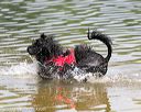 20140817-awd-0042