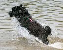 20140817-awd-0065