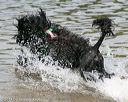 20140817-awd-0066