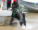 20140817-awd-0085