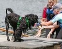 20140817-awd-0088