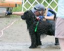 20140817-awd-0101