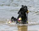 20140817-awd-0107