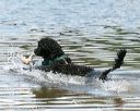 20140817-awd-0134