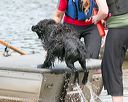 20140817-awd-0143