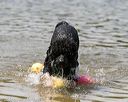 20140817-awd-0152