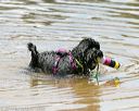 20140817-awd-0163