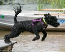 20140817-awd-0195
