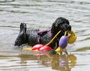 20140817-awd-0205