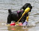 20140817-awd-0207