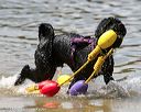 20140817-awd-0208