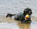 20140817-awd-0253