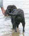 20140817-awd-0262