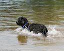 20140817-awd-0264