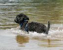 20140817-awd-0265