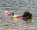 20140817-awd-0285