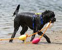 20140817-awd-0293
