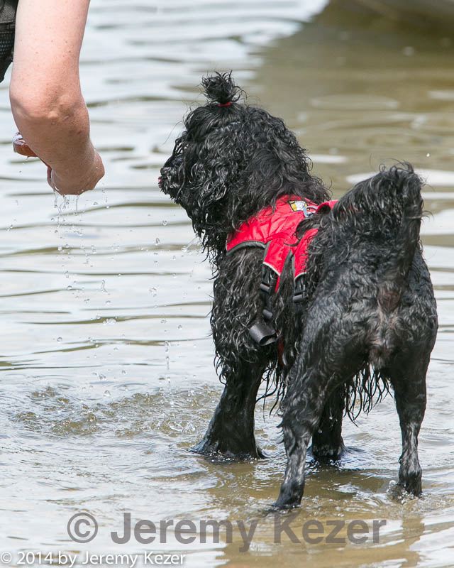 20140817-awd-0021.jpg