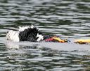 20140817-cwd-0011