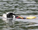 20140817-cwd-0013