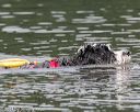 20140817-cwd-0015