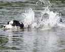 20140817-cwd-0023