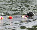 20140817-cwd-0042