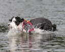 20140817-cwd-0047