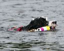 20140817-cwd-0053