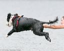 20140817-cwd-0059