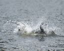 20140817-cwd-0062
