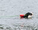 20140817-cwd-0069