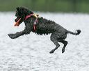 20140817-cwd-0078