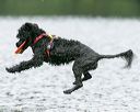 20140817-cwd-0079