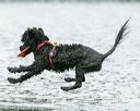 20140817-cwd-0080