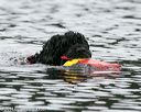 20140817-cwd-0086