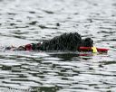 20140817-cwd-0088