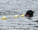20140817-cwd-0119