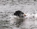 20140817-cwd-0124