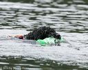20140817-cwd-0126