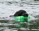 20140817-cwd-0128
