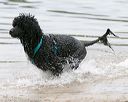 20140817-cwd-0177