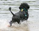 20140817-cwd-0192