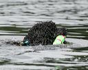 20140817-cwd-0205