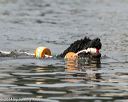 20140817-cwd-0220