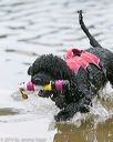 20140817-cwd-0229