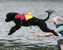 20140817-cwd-0234