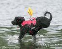 20140817-cwd-0237