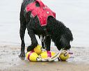 20140817-cwd-0257