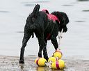 20140817-cwd-0258